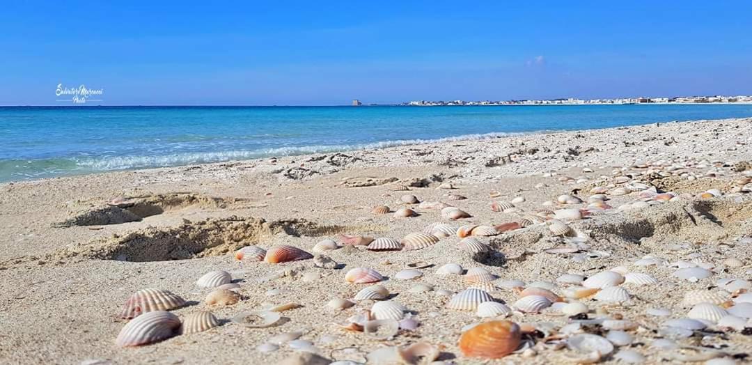 Masseria La Lizza - Ospitalita Rurale Lecce Exteriér fotografie