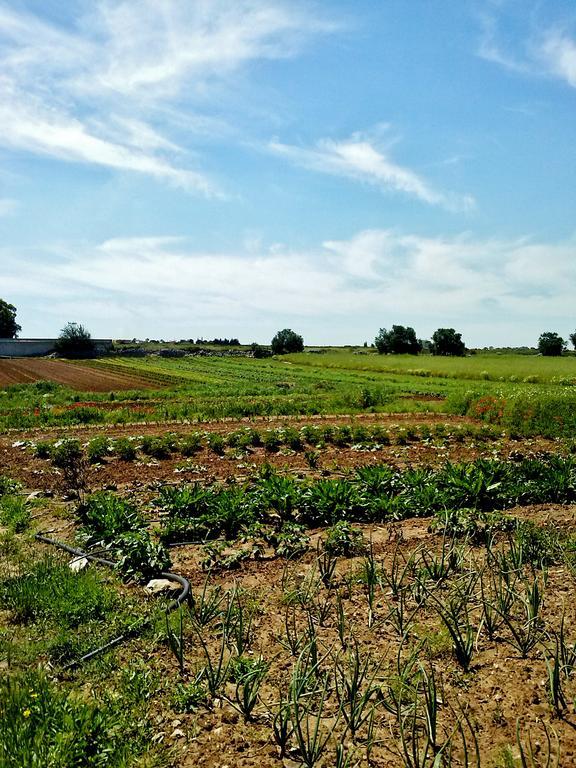Masseria La Lizza - Ospitalita Rurale Lecce Exteriér fotografie